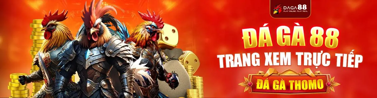 Sân đấu đá gà trực tiếp TNC365 2026