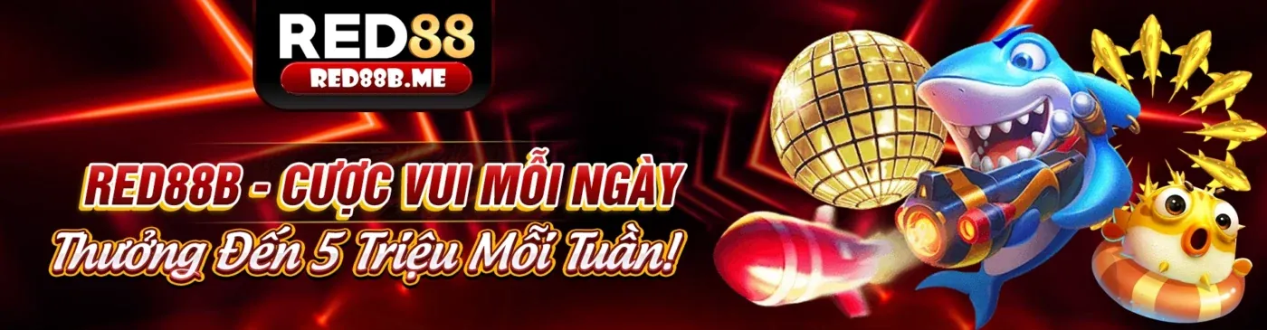 Người dùng đang đặt cược trực tiếp trên điện thoại di động