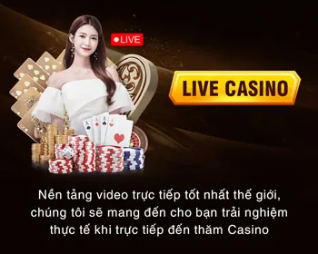 Cấp phép hoạt động và tuân thủ quy định